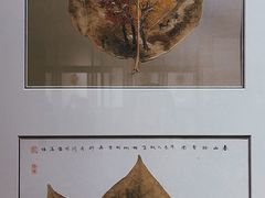 -苏州园林博物馆