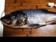 -花鲢鱼头火锅(春城东路店)