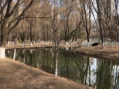 -长白岛森林公园