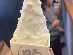 -野人先生Gelato(上海长宁龙之梦店)