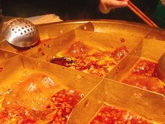 -房子红了鱼豆花重庆老火锅(广厦学院店)