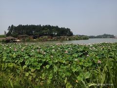 -杏花村文化旅游区