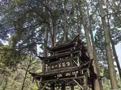 -青城山