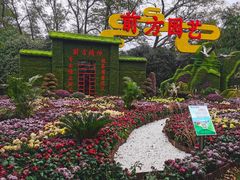 -共青国家森林公园-售票处