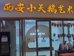 -西安小天鹅艺术团(金花路校区)