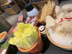 -季季山·云南野生菌火锅(上海首店)
