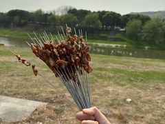 -羊山湖公园