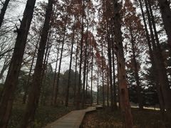 -国家植物园南园