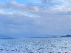 -深圳湾公园(南山区)