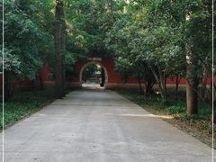 -灵谷景区