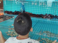 -视界美食自助餐厅·石家庄希尔顿酒店