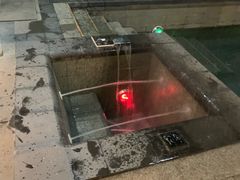 -候鸟水榕庄度假酒店
