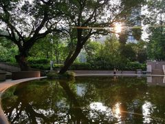 -九龙公园
