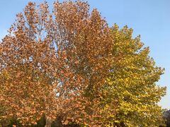 -北京国家会计学院