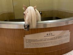-海澜飞马水城