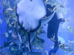 -太平洋海底世界