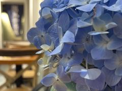 -囿面传统制面馆(中央路店)
