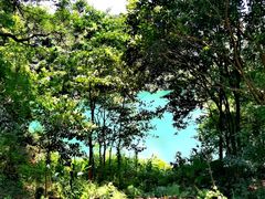 -佛山市三水区大南山森林公园