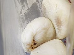 -清泉阁包子铺(中山路店)