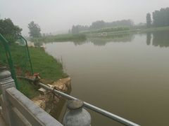 -淇河国家湿地公园