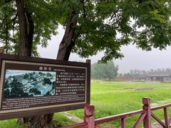 -圆明园停车场