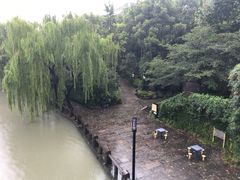 -运河游船(武林门码头)