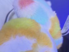-关你鬼室大型密室逃脱(佛山创意园店)