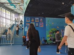 -海合安成都极地海洋公园