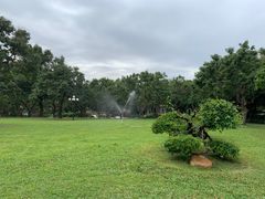 -荔枝公园(福田区)