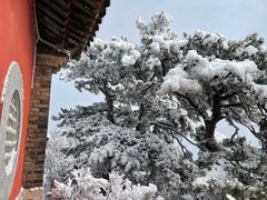 -妙峰山风景名胜区