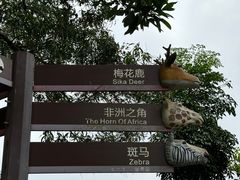 -深圳野生动物园