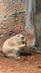 -Zoolung Zoolung动物主题公园(海信广场店)