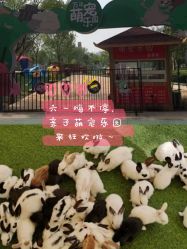 -萌宠亲子动物乐园(槐房万达店)