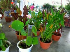 -沈阳国际会展中心管理有限公司