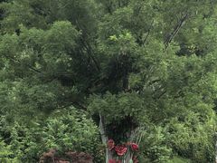 -威海华夏城景区