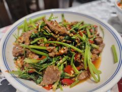 -壹盏灯(惠农店)