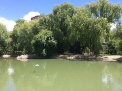 -宗角禄康公园