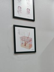-重庆联合丽格第五医疗美容医院