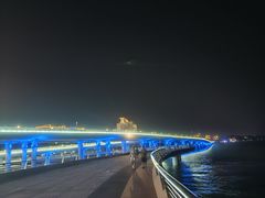 -演武大桥观景平台