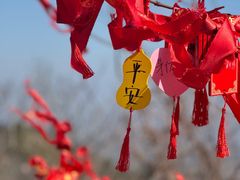 -句容茅山景区
