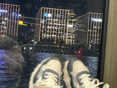 -黄浦江游览快线(金陵东路码头)
