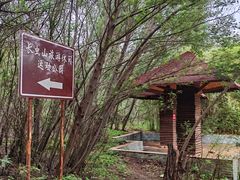 -长虫山生态公园风景林