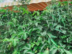 -朕悦鹧鸪饭私房菜