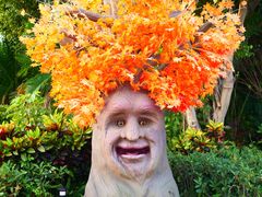 -厦门方特梦幻王国