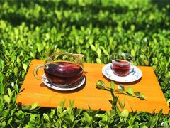 外景拍摄-七彩云南庆沣祥茶庄(金融街店)