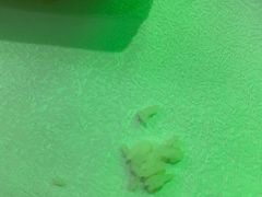 -峨嵋酒家(清河店)