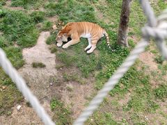 -西霞口神雕山野生动物世界