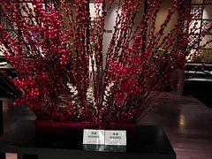 -五缘湾凯悦酒店·悦饗中餐厅