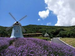 -东海半边山旅游度假区