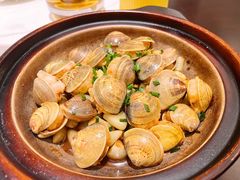 -四季春